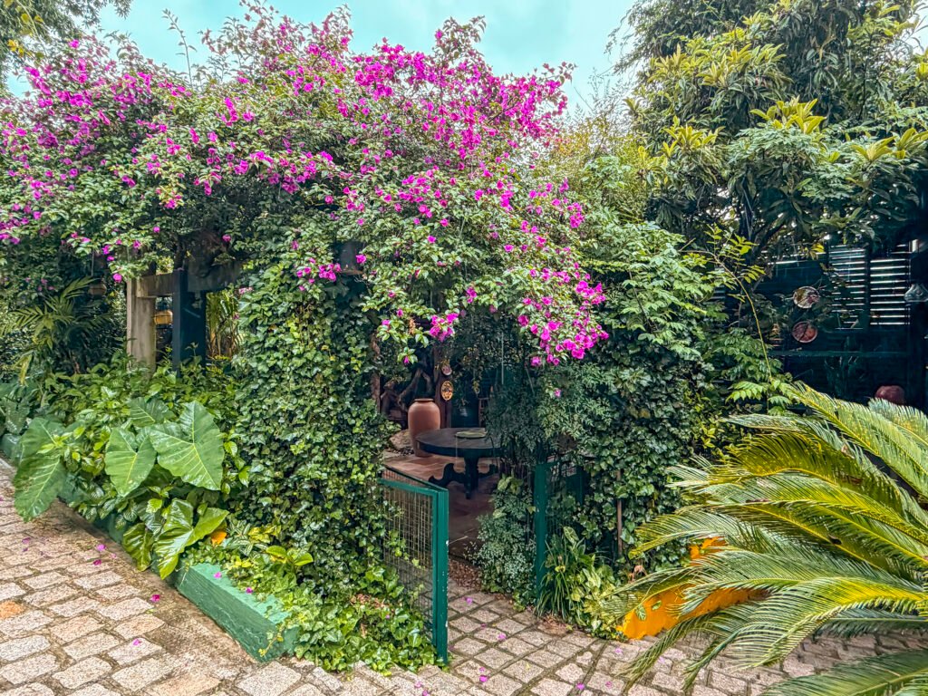 Jardim exuberante com entrada charmosa: portão verde semiaberto envolto por buganvílias rosa vibrantes em cascata, folhagens tropicais densas e caminho de pedra rústico